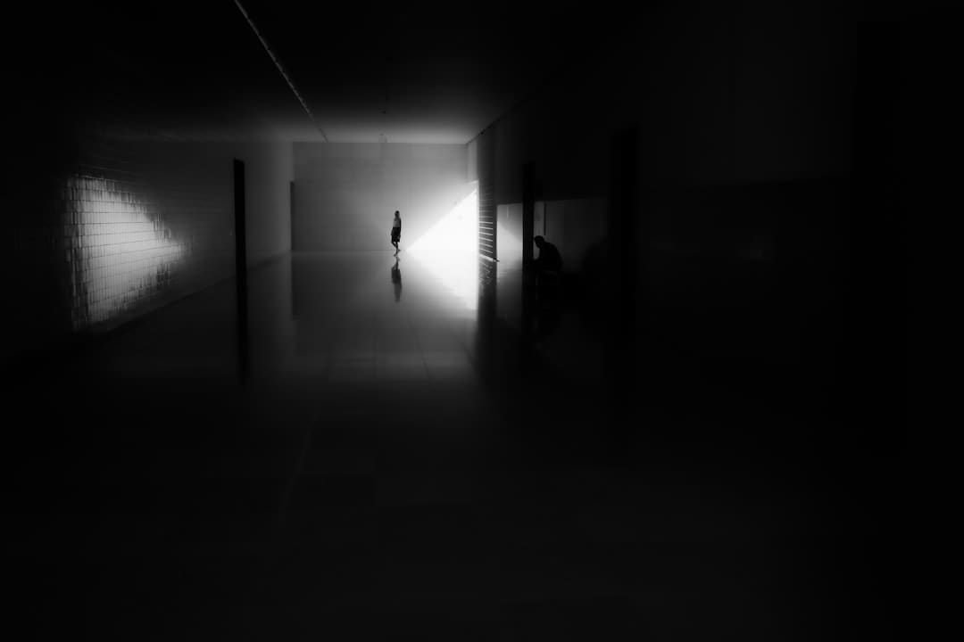 全面拓宽区域经济合作 引领上合安排高质量开展